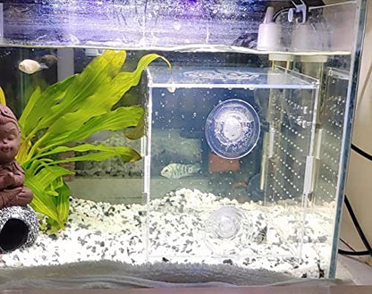 Acrylic Fish breeding Box, Acrylic Fish Isolation Box, Fish Separator for Aquarium, Hatchery Incubator with Suction Cups for Small Baby Fishes Shrimp Clownfish Guppy (5.9 * 5.9 * 5.9inch) - size: 5.9 * 5.9 * 5.9inch