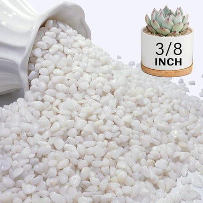 3 lbs Pebbles for Indoor Plants, 3/8 Inch Pea Gravel for Fish Tank, Polished Decorative Rocks for Succulent, Natural River Stones for Vases, Cactus, Landscaping, Bird Bath, Aquarium, White