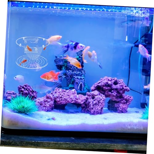 POPETPOP Fish Breeding Box for Aquarium Lightweight Separator for Fish Tank for Shrimp Survival Rate Easy to Carry and Store