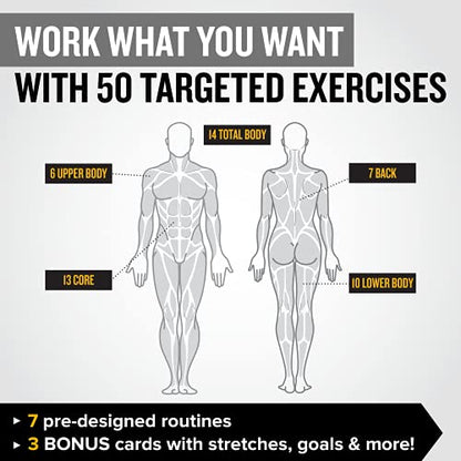 Dumbbell Workout Cards, Instructional Fitness Deck for Women & Men, Beginner Fitness Guide to Training Exercises at Home or Gym (Dumbbell, Vol 2) - style: Dumbbell Vol2