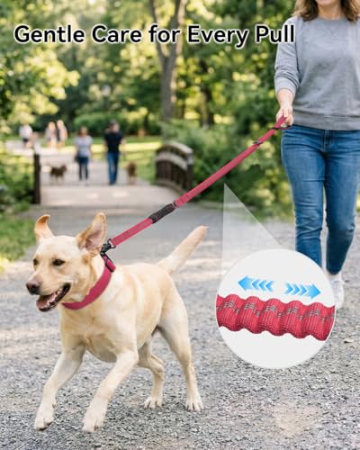 Joytale Tactical Bungee Dog Leash, Shock Absorbing No Pull, Hot Pink - color: Hot pink