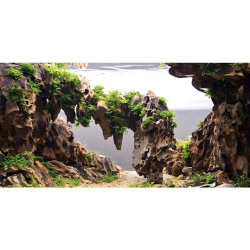AWERT 48x24 inches Viewing Stone Fish Tank Background Aquatic Plant River Bed & Lake Aquarium Background Seaweed Aquarium Vinyl Background - size: 48x24in/120x60cm
