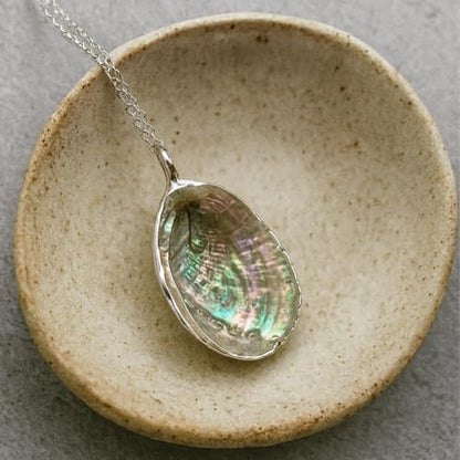 Small Farmed Abalone Paua Shells- Blue (Medium)