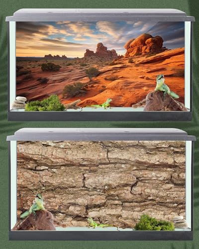 4 Pcs 36 x 18'' Reptile Tank Background 30/40/50 Gallon Bearded Dragon Terrarium Background Decor Polyester Reptile Tank Accessories for Leopard Gecko, Crested Gecko, Tortoises