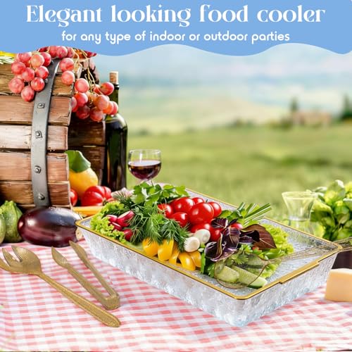 1 Set 16" x 9" Chilled Serving Tray for Parties with Compartments Ice Chilled Party Crudite Platter Charcuterie Serving Board Cold Dish Dip Tableware for Seafood Vegetable (Gold Glitter)