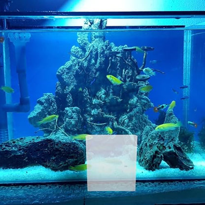 Portable Fish Breeding Box Small Betta Fish Tank Container for Aquarium Isolation and Observation Suitable