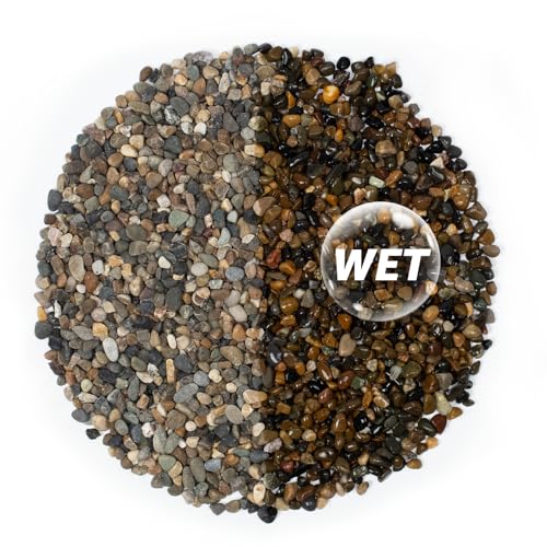 40LB Natural River Rocks, 1/4" Aquarium Gravel, Small Pebbles for Plants, Pea Gravel for Fish Tanks, Decorative Rocks for Gardening, Flower Pots, Vase Fillers, Indoor Fountains (40 LBS)
