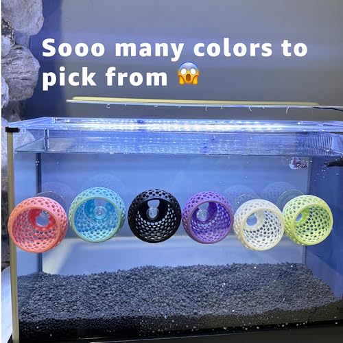 Betta Bulb Hide 2.0 | Large Aquarium Cave with Suction Cup for Small Fish Tank, Shrimp Hideout, Aquatic Decor (Cotton Candy Blue)
