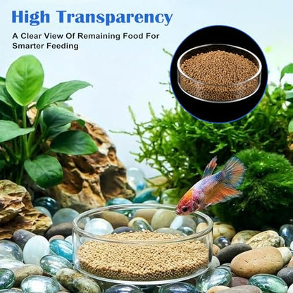 3 Sizes Glass Shrimp Feeding Dish Set, Round Food Feeder Fish Bowl Small Clear Bowls for Aquarium, Fish Tank (2.36", 2.56", 3.15")
