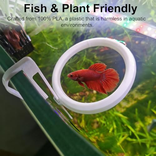 Clip On Fish Feeding Ring, Floating Aquarium Feeder, Non-Shedding Fish Food Holder for Betta Goldfish Guppy Turtle - color: White