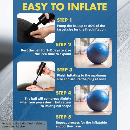 ProBody Pilates Yoga Ball Chair for Office - with Resistance Bands - size: 65 cm