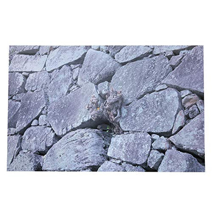 Fish Tank Background Sticker, Self Adhesive Rock Design for Aquariums Reptile Tanks 10 Gallon 24-48 Inch Sizes (61 * 30cm) - size: 61*30cm