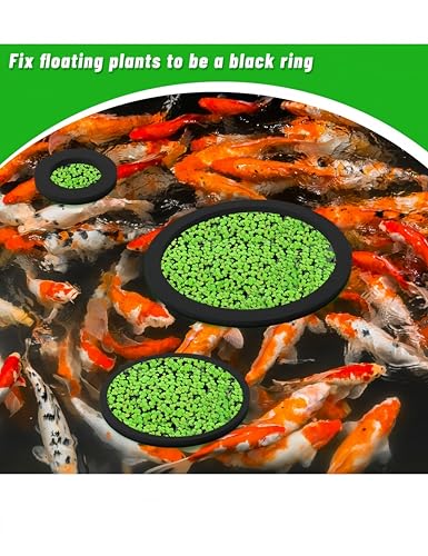 10pcs Fish Feeding Rings Set, Round Floating Aquarium Plant Corral 5 Sizes Fish Tank Accessories, for Betta Aquarium