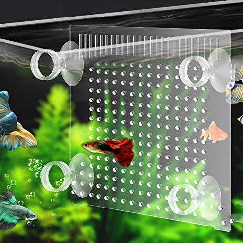 Naroote Aquarium Suction Cups, 20Pcs Set Fish Sucker for Securing Tube, Airline Tubes, Elastic Gel Fish Suction Cup with Good Suction and Easy Installation (1/2)