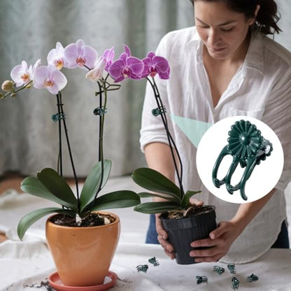 OIIKI 60pcs Orchid Clips for Plants Support, Plant Orchid Support Clips, Vine Tools Supports for Garden Climbing Stems Vines Climbing Plants- Dark Green