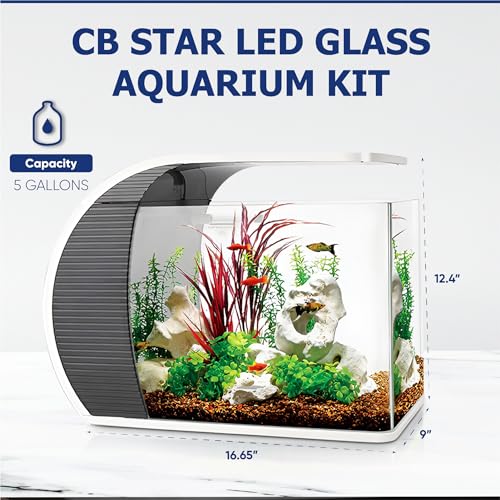 5 Gallon Fish Tank - Arc-Shaped Glass Tank w/LED Lights - Fish Tank Kit w/Filter, Water Pump, Bag of Filter Media & More - Beautiful Aquarium Set for Office & Home - Easy Assembly Starter Kit