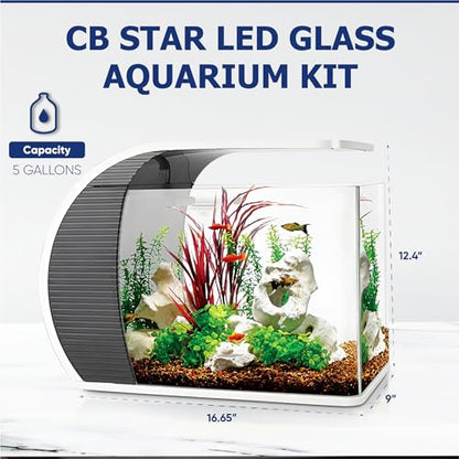 5 Gallon Fish Tank - Arc-Shaped Glass Tank w/LED Lights - Fish Tank Kit w/Filter, Water Pump, Bag of Filter Media & More - Beautiful Aquarium Set for Office & Home - Easy Assembly Starter Kit