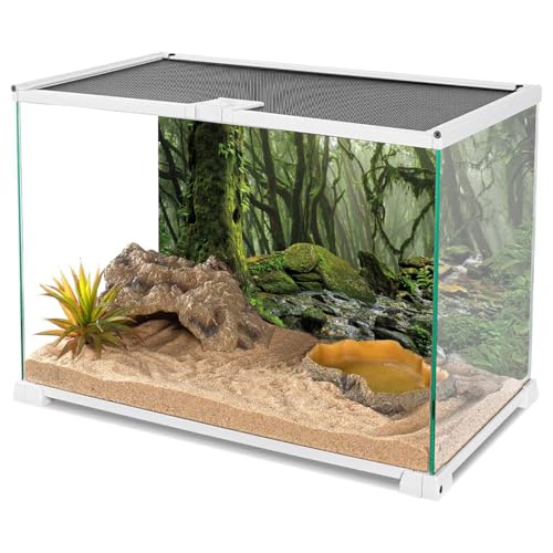 AWERT Foggy Forest Terrarium Background Stream Green Huge Tree Reptile Habitat Background Tropical Rainforest Aquarium Background 72x18 inches Durable Polyester Background