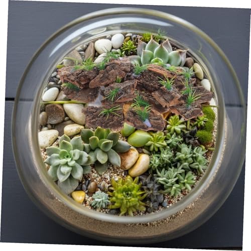 20pcs Natural Cork Bark Reptile Tank Decor Tree Bark Hide for Terrarium Background Climbing Habitat Aquarium Accessory for Lizards Snakes Turtles