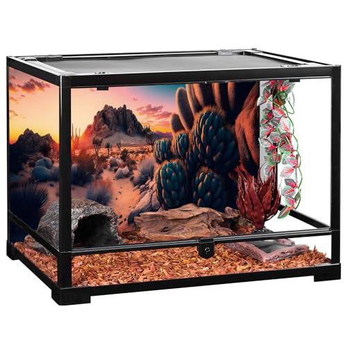 AWERT 60x24 inches Oasis Reptile Habitat Background Cactus Sun and Desert Terrarium Background Polyester Reptile Habitat Background - size: 60x24in/150x60cm