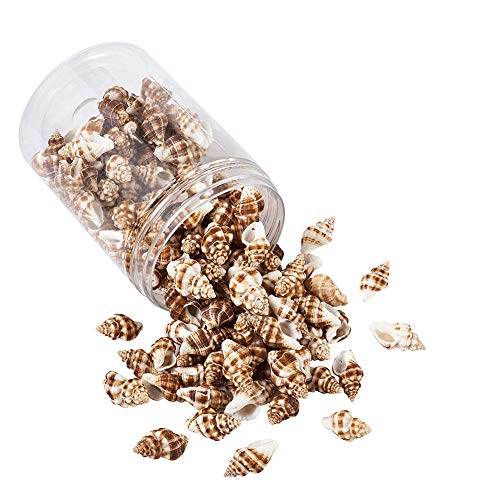 Craftdady About 161pcs/Box Natural Spiral Sea Shell Pendants 13.5-17.5x20.5-30.5mm Cowrie Beach Seashell Charms with 1.5mm Hole for Jewelry Making Fish Tank Home Decor - color: Natural Color, 13.5-17mm