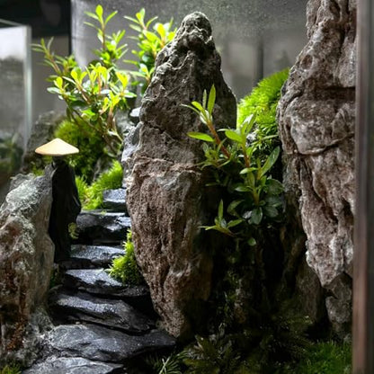 Natural Rocks Slate Stone 1-2.5 Inches Decorative Stones for Miniature Landscaping,Fairy Gardens,Bonsai,DIY Crafts,Aquariums & Reptile Terrariums-1lb