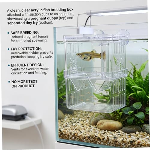 Aquarium Breeder Box, Breeder Box for Fish Tank 2 Layer Transparent Aquarium with Sucrion Cups Plastic Fish Breeding Boxes for Small Shrimp Clown Guppies