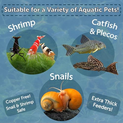 Spirulina Enriched Calcium Feeders for Shrimp, Snails, Crabs, Crayfish, Pleco, Catfish, All Tropical Fish…50 Count Bag