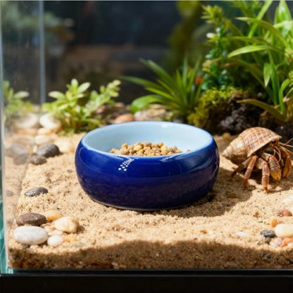 2 Pack Ceramic Hermit Crab Food Bowl Hermit Crab Food Dish Reptile Water Dish Aquarium Accessory for Turtle Bearded Dragon Lizard Gecko Tortoise (Blue, Round)