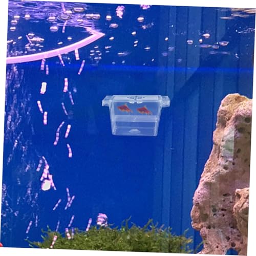 Mikikit 4pcs Floating Fish Fry Incubator Breeding Box for Aquarium Nursery Dual Layer Isolation Case for Betta Fish Eggs Compact Design for Efficient Hatching