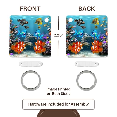 3dRose, Graphic Design of Aquarium Style, Key Chain
