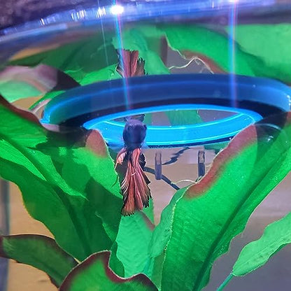 Fish Feeding Ring Floating Food Feeder Circle with Suction Cup Easy to Install Aquarium (Round) - color: Round