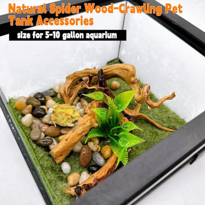 6-8in Aquarium Driftwood 3PCS Reptile Spider Wood Assorted Branches Natural Trunk Driftwood Tree Fish Tank Decoration - size: S:Spiderwood (6-8in 3PCS)