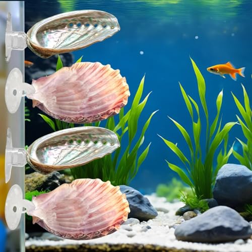 Betta Fish Bed, 4 Pieces Shell Shaped Resting Pads, Betta Resting Spot with Suction Cup for Aquarium Tank, Shrimp Breeding, Relaxation Cave, and Pet Store Display