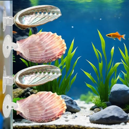 Betta Fish Bed, 4 Pieces Shell Shaped Resting Pads, Betta Resting Spot with Suction Cup for Aquarium Tank, Shrimp Breeding, Relaxation Cave, and Pet Store Display