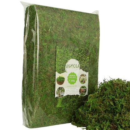 Fake Moss for Potted Plants Indoor, 2LBS Large Capacity Artificial Green Moss for DIY Crafts, Faux Moss for Table Centerpieces Fairy Garden Terrariums Decor (32OZ)