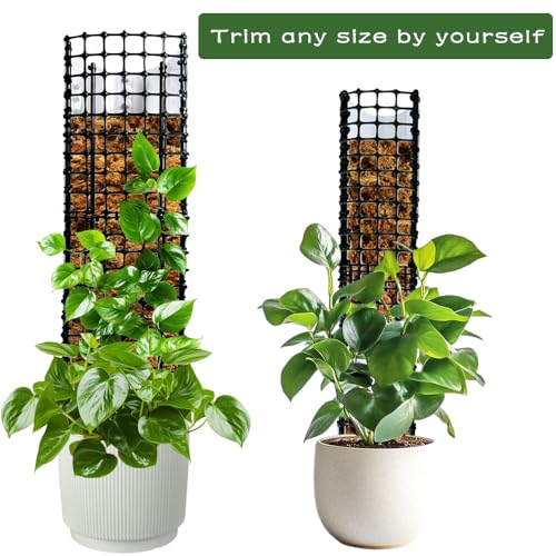 Expandable D Shaped Moss Pole, Customizable Width Moss Pole Monstera Plant Support, Stack up to 47 inches in Height, Widen to Any Size, DIY Thickened Transparent Plant Support for Climbing Plants