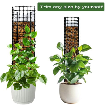 Expandable D Shaped Moss Pole, Customizable Width Moss Pole Monstera Plant Support, Stack up to 47 inches in Height, Widen to Any Size, DIY Thickened Transparent Plant Support for Climbing Plants