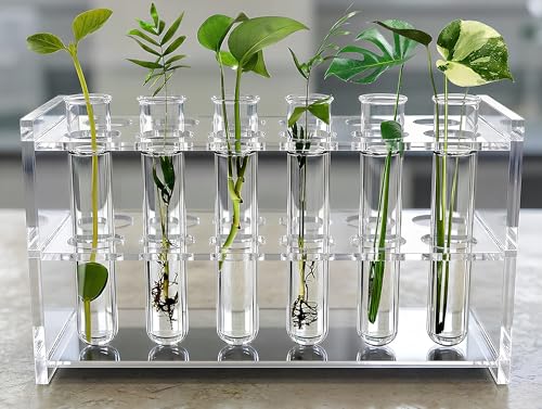 Plastic Test Tube Rack,12 Slots Acrylic Test Tube Holder for 25ml Tubes Lab Tube Racks Plant Propagation Station Holder Pen Holder,21mm/0.83inch Diameter (25ml) - color: 25ml