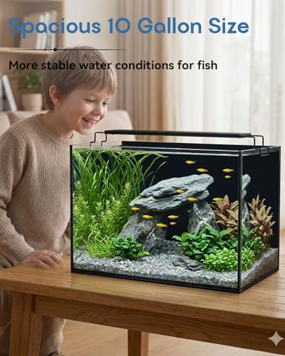Glass Fish Tank Kit, 10 Gallon Betta Fish Tank Aquarium Starter Kit with Filter, Lights, Lid, for Betta, Goldfish, Small Fish or shrimg