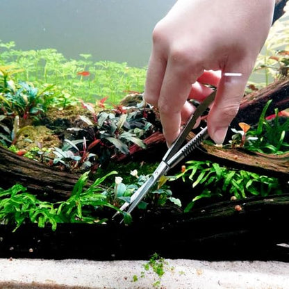 LINLAN Aquatic Plant Spring Scissors for Precise Trimming, Stainless Steel with Top Rebound Feel, Ideal for Aquatic Ferns and Microsorum Pteropus in Planted Tanks - size: Curved