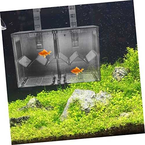 YARNOW Aquarium Isolation Box for Fish Breeding Separation Container Easy Install Breeding Holder to Increase Survival Rate Sturdy Design for Fish Tank Use