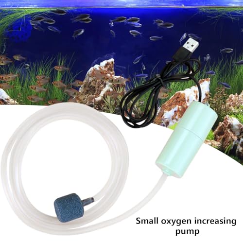 5V Water Pump | Mute Aquarium Pump with Uniform Air Bubble - 5V USB Water Small Oxygenator for Small Fish Farming Fish Tank - color: Green