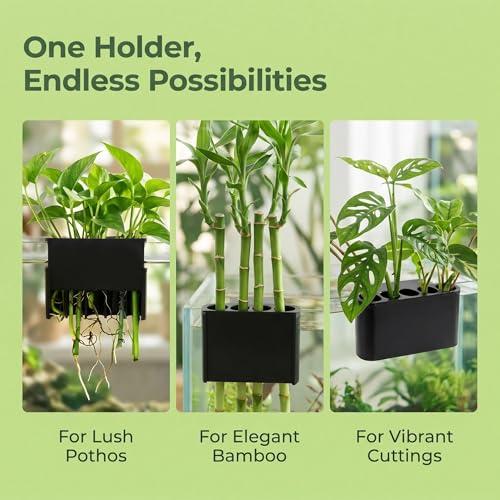 2 Pack Aquarium Plant Holder, Open Face Hanging Planter Cup for Emersed Plants, Fish Tank Aquatic Plant Pot with 5 Holes, Hydroponic Aquascape Decoration for Shrimp and Fish (Black Rimless)
