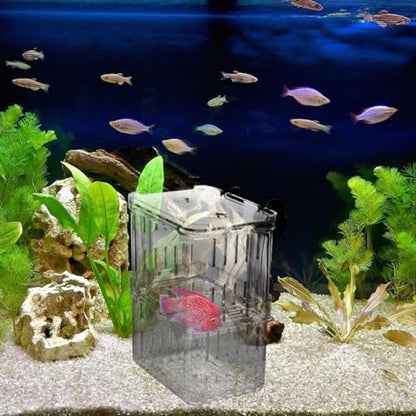 Fish Breeding Tanks Fish Tank Box 2Pcs Breeding Box Plastic Boxes Aquarium Acclimation Hatchery Incubator for Shrimp Clown Guppy