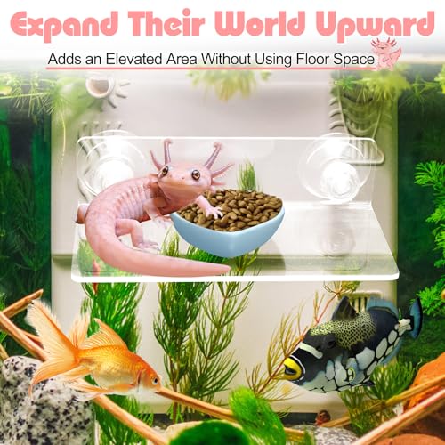 Axolotl Hammock with Feeding Dish,Axolotl Hammock Ledge for Aquarium with Sucker,Axolotls Tank Accessories,Bearded Dragon Tank Accessories