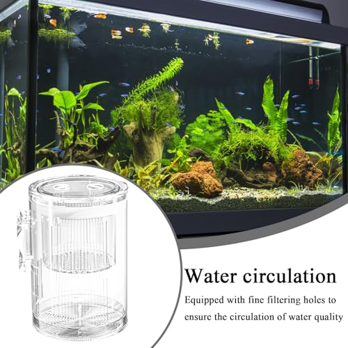 Breeder Box for Fish Tank – Mini Aquarium Isolation Container, Clear Acrylic Hatchery with Suction Mount, Acclimation and Observation Tool | Ideal Breeding Fry, Small Fish, Shrimp, Betta, Tropical