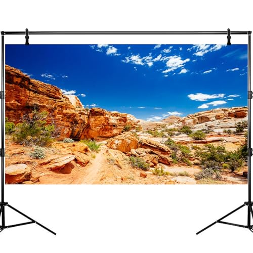 Desert Reptile Tank Background Blue Sky Rock Boulders Terrarium Background Desert Landscape Fish Terrarium Backgrounds Rocky Bush Reptile Enclosure Dragon BeardedTank Backdrop 48x24in