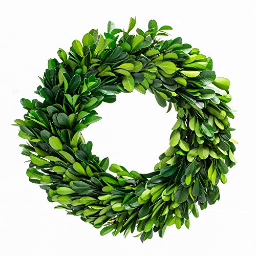 Richland Preserved Boxwood Wreath 8” Home Wedding Seasonal Decor - color: Green, size: 8''