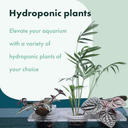 Upgraded Acrylic Adjustable Clear Aquarium Plant Holder, Premium Aquarium Planter, Sturdy Aquarium Pothos Holder for Optimal Plant Growth (Small)